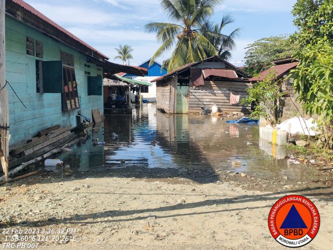 
 205 Rumah di Petasia Morut Diterjang Banjir Rob/BPBD Sulteng