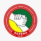 Logo Bapena PPNI Sulteng. Foto : istimewa